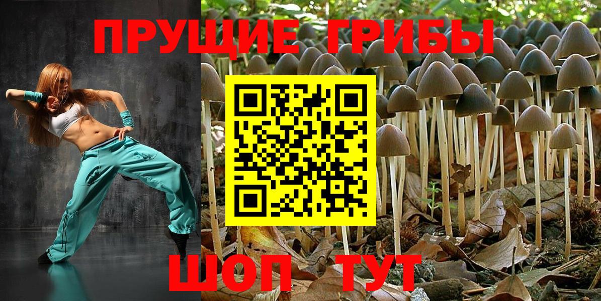 наркошоп  Вход с VPN  Галлюциногенные грибы Psilocybine cubensis  Урюпинск  Галлюциногенные грибы Cubensis 